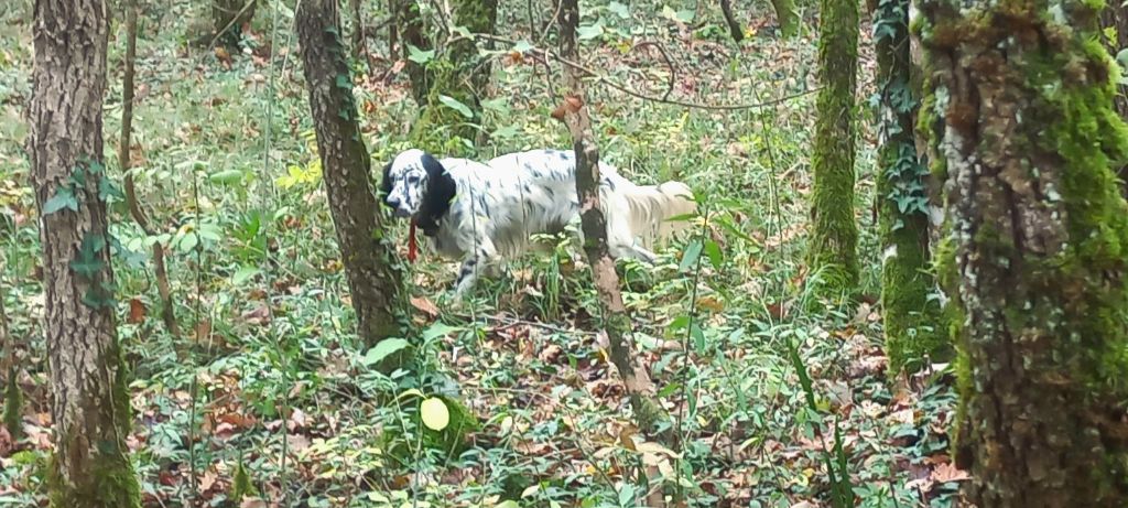 Ugo du Parc des Chaumes