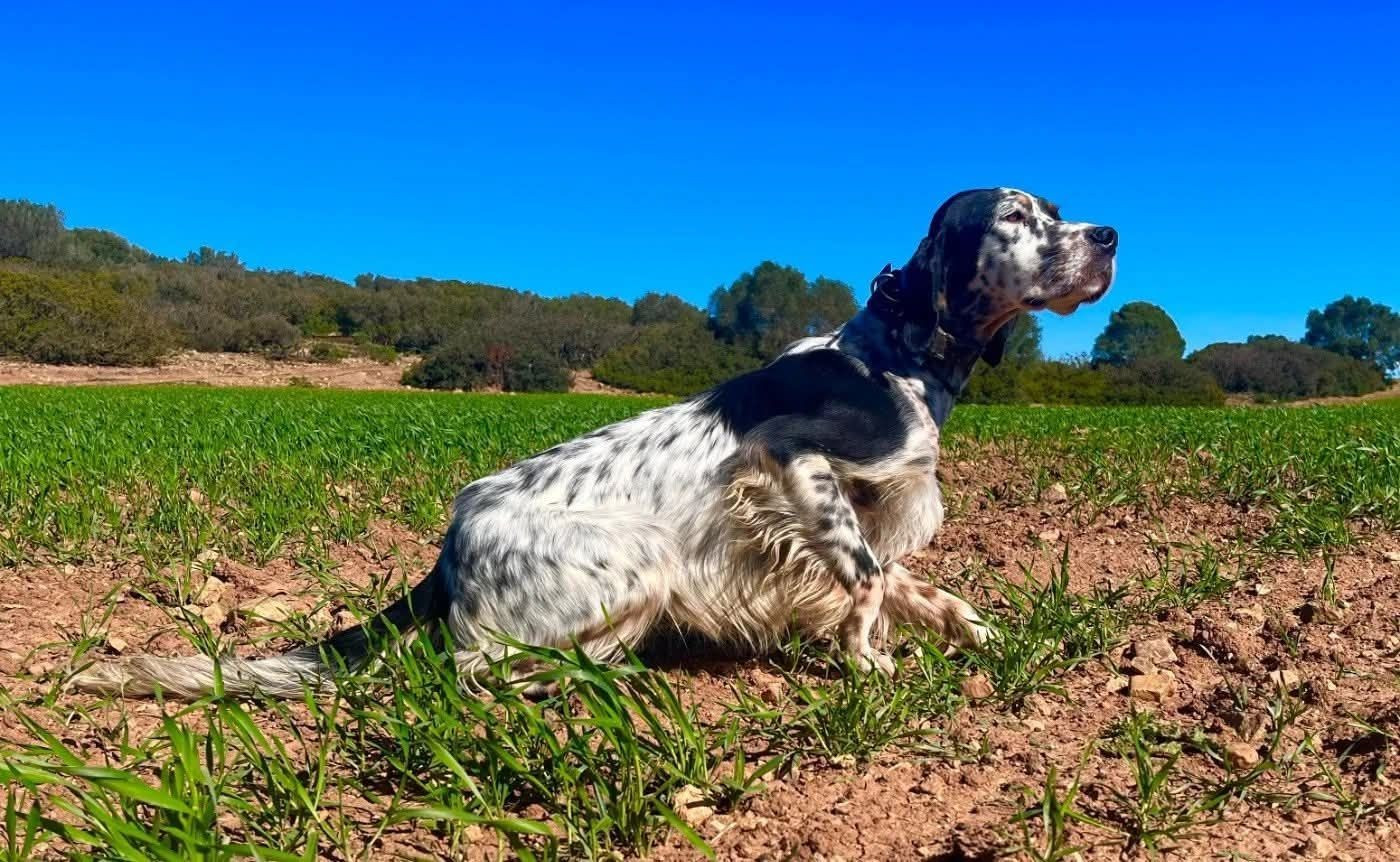 04/03/2026 THORIGNY/MIGNON