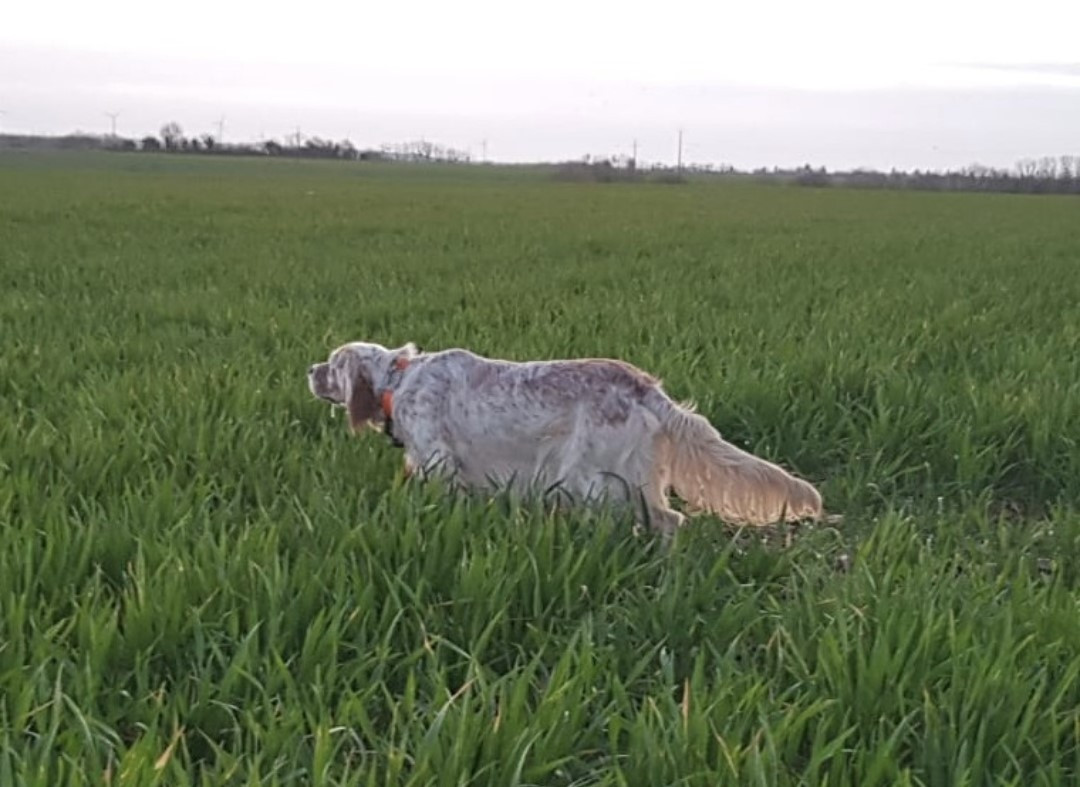 De La Source De Salbart - 22/03/2026 CHILLY