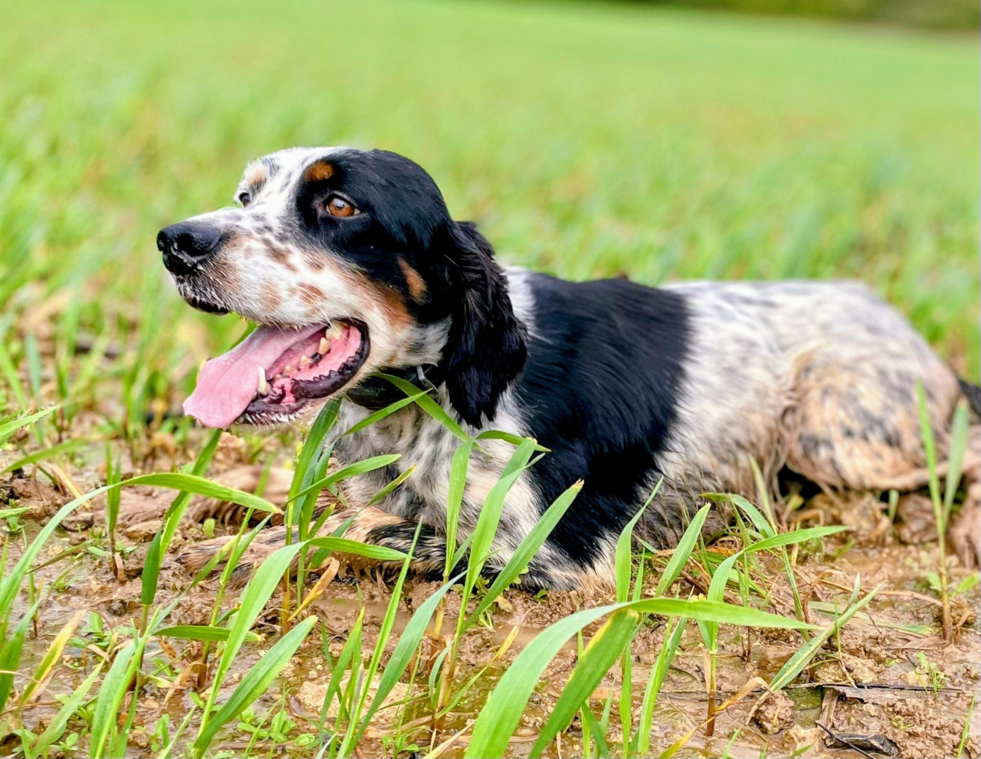 26/03/2026 FIENVILLERS