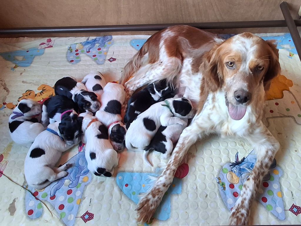 Les bébés de la maison
